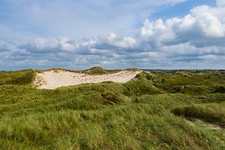 Dünenlandschaft