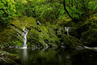 Glengarriff Woods Nature Reserve