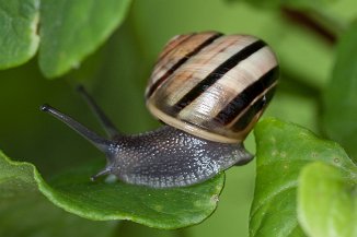 IMG_4085