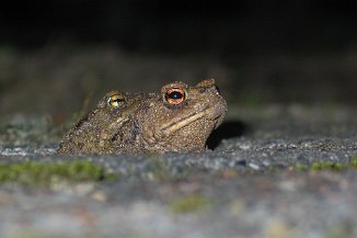 IMG_8393