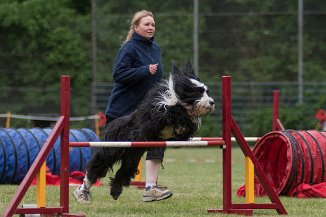 IMG_1834