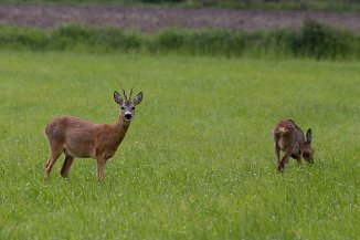 IMG_5651