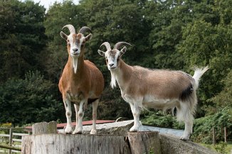 IMG_3872 Stadtteilfarm Huchting